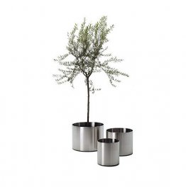 NOX FLORA